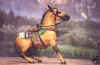 BCR Calypso Callie.jpg (36530 bytes)